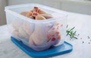 Умный холодильник для рыбы и мяса 4,4л
